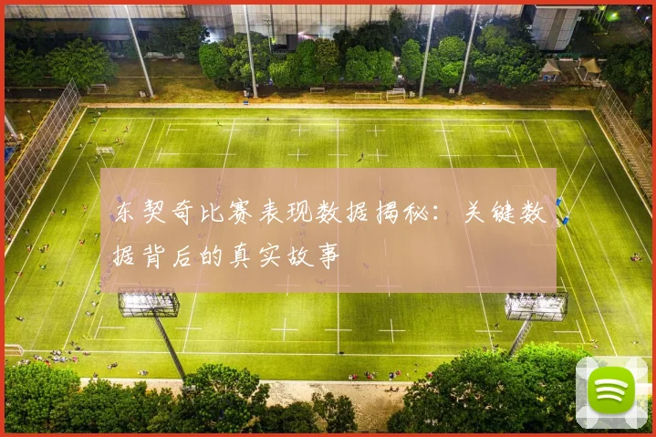 东契奇比赛表现数据揭秘：关键数据背后的真实故事