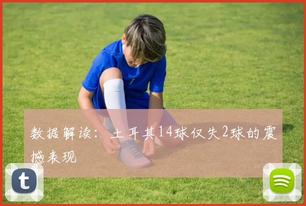 数据解读：土耳其14球仅失2球的震撼表现
